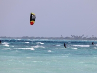 Hotel's beach panoramic view