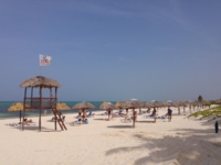 Hotel's beach panoramic view