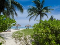 Panoramic beach view