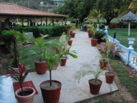 Panoramic villa and gardens view