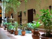 Inside patio view