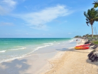 Panoramic beach view