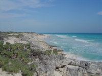 Panoramic beach view