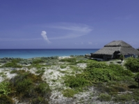 Panoramic beach view