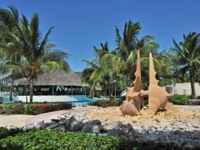 Panoramic pool view