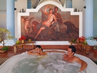 Wellness Center-Jacuzzi