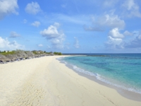 Panoramic beach view