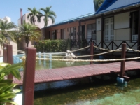 Panoramic pool view