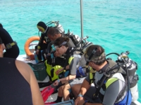 Scuba diving in open sea