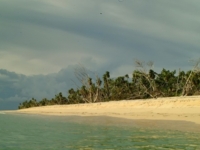 Panoramic beach view