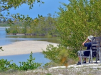 Birdwatching tour in Cayo Guillermo