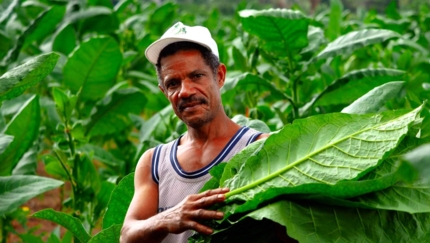 “THE WORLD OF TOBACCO” Tour