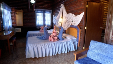 Cabin Standard Double