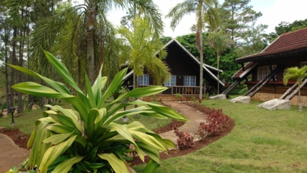 Panoramic Cabins view