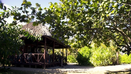 Beach Bar  Marengo (Playa Caleta Hotel section)
