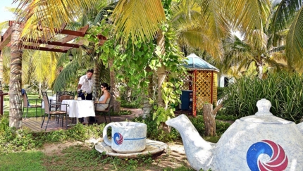 Coffee Bar Tea Garden