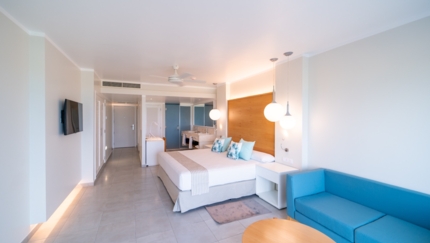 Deluxe Junior Suite Superior