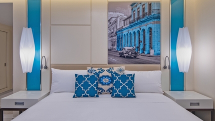Deluxe Suite Room
