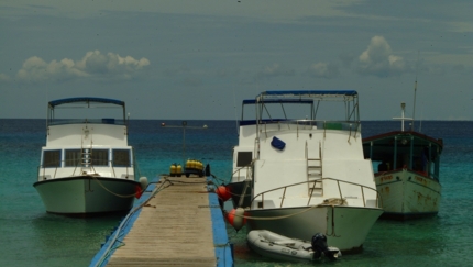 Diving boats at María La Gorda