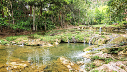 San Juan River , Las Terrazas,  CUBANIA CLASSIC CYCLE, Group Tour