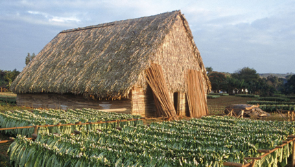 Viñales, BIKE TOUR WESTERN CUBA