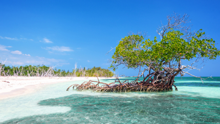 Cayo Levisa, BIKE TOUR WESTERN CUBA