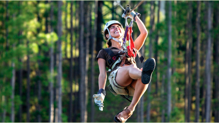 Canopy, panoramic view, Las Terrazas