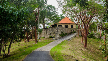 Buenavista coffee plantation, Las Terrazas