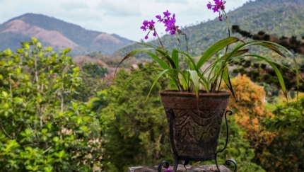 Soroa Orchestra, panoramic view, A CUBAN BRUSHSTROKE Group Tour