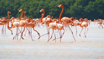 Salinas de Brito, Cienaga de Zapata, JEEP SAFARI OCCIDENTE Group Tour