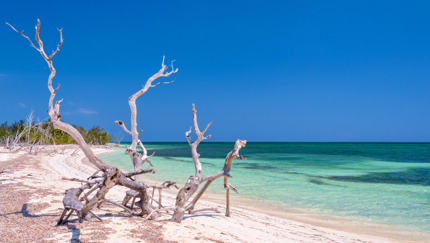 Cayo Levisa, JEEP BEACH TOUR OCCIDENTE Group Tour