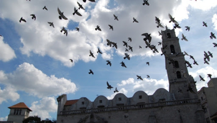 Old Havana, JEEP BEACH TOUR OCCIDENTE Group Tour