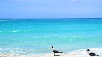 Punta Frances National Park, BIKE TOUR ISLA DE LA JUVENTUD