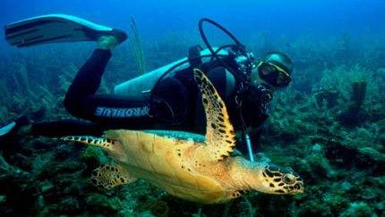 Diving in Punta Frances, BIKE TOUR ISLA DE LA JUVENTUD