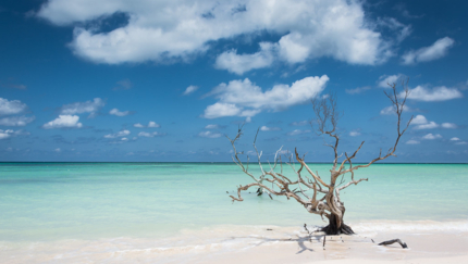 Cayo Jutias, Bike Cuba, Group tour