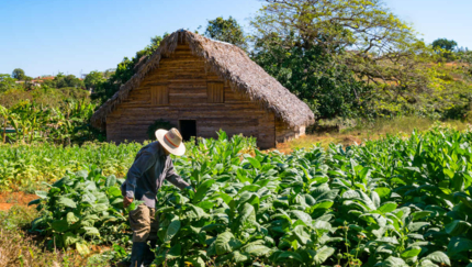 Viñales, BIKE TOUR WESTERN AND CENTRAL CUBA.