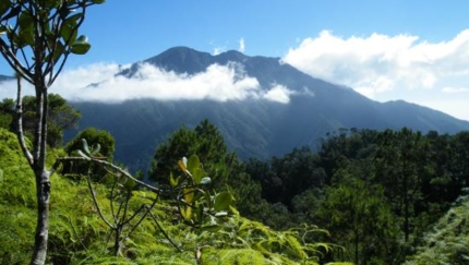 Great Sierra Maestra National Park, Santiago de Cuba, COMPLETE CUBA, Private Tour