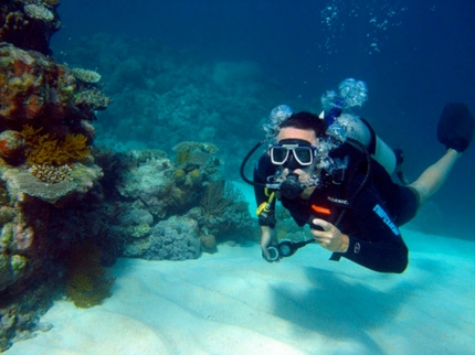 Scuba Diving in Havana