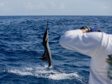 Deep sea fishing tour at Cayo Coco and Cayo Guillermo