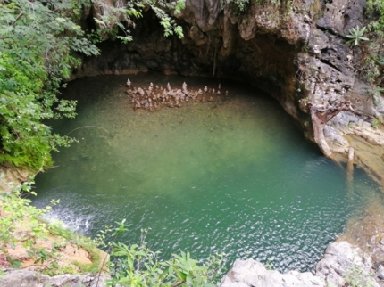 “In Horse Carriage to El Pilón Waterfall” Tour