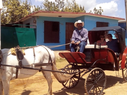 “In Horse Carriage to El Pilón Waterfall” Tour