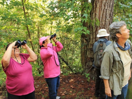 Nature Tour "Observación de aves en el Sendero Enigma de la Roca"