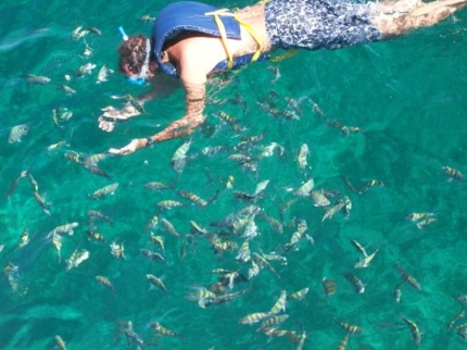 Life on Board in Cayo Santa María, Tour