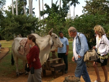 Fiesta Campesina natural park