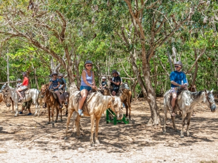 Horseback riding and contact with thoroughbred horses.