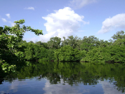 Ciénaga del Lanier, Isla de la Juventud, Cuba