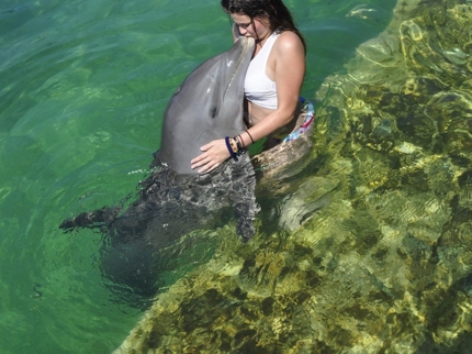 Dolphin show at Cayo Santa María dolphinarium