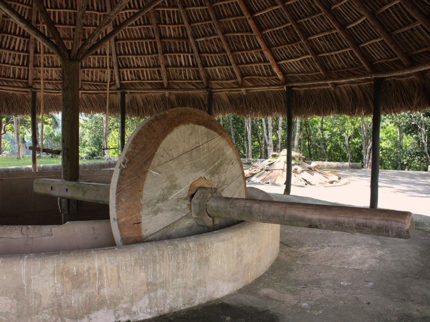 Coffee Ruins,"Panoramic Tour of Las Terrazas"