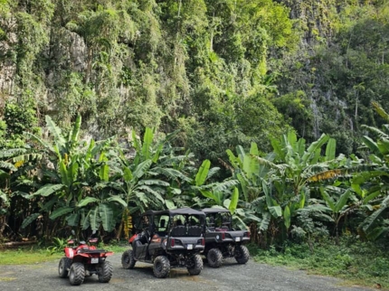 Visit to the Jutias Valley