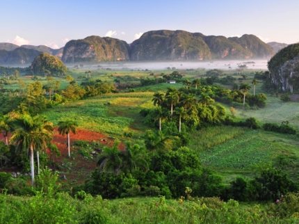 Excursión “Visita a Viñales”